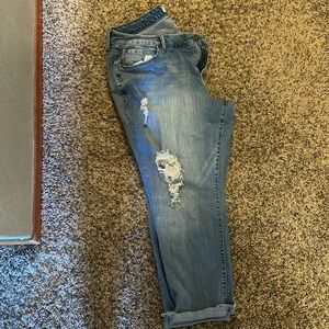 Torrid Boyfriend Jean